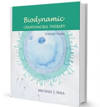 Biodynamic Craniosacral Therapy: Volume Three