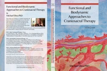 Functional and Biodynamic Approaches to Craniosacral Therapy
